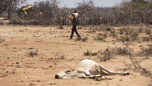 Bundelkhand Drought