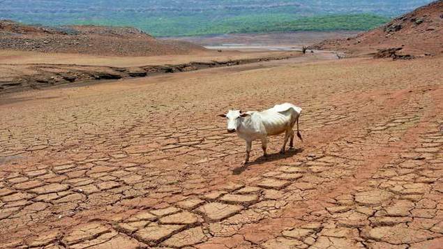 Bundelkhand Drought